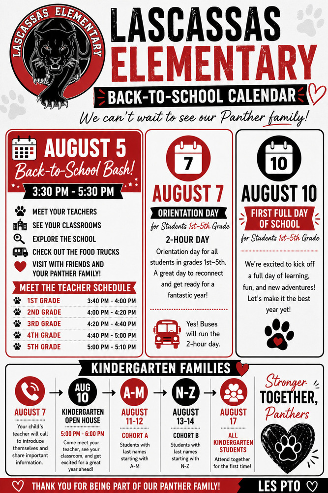 decorative back to school information