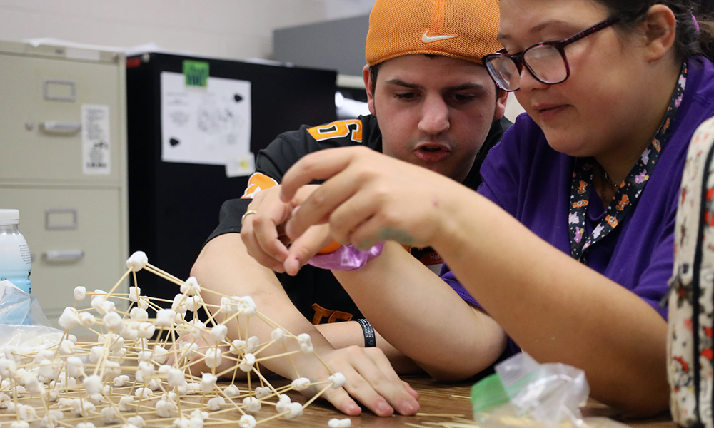Two students collaborate on a science project at a table, using marshmallows and sticks.