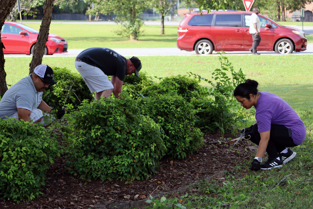 Four people tend to shrubs with one kneeling, one crouching, and two standing. Red cars are in the background.