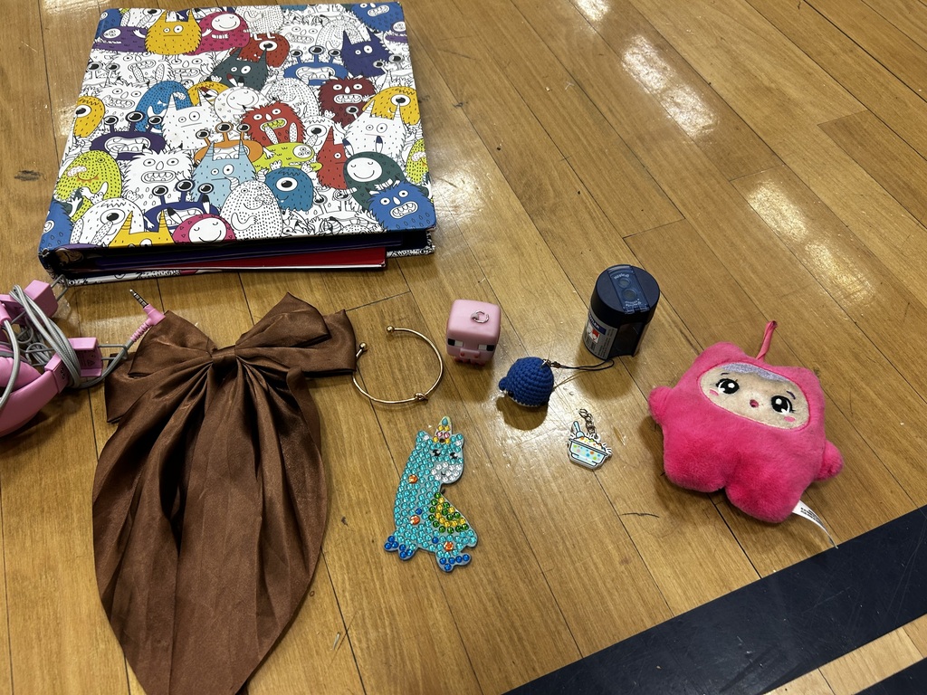 Items on a wooden floor include a brown bow, a pink stuffed animal, a notebook, and various trinkets.