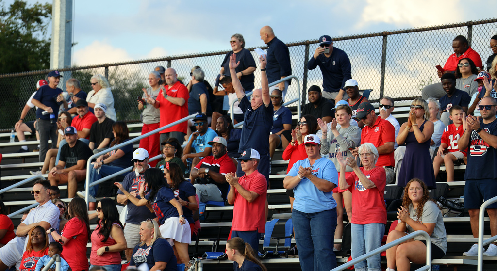 fans celebrate touchdown