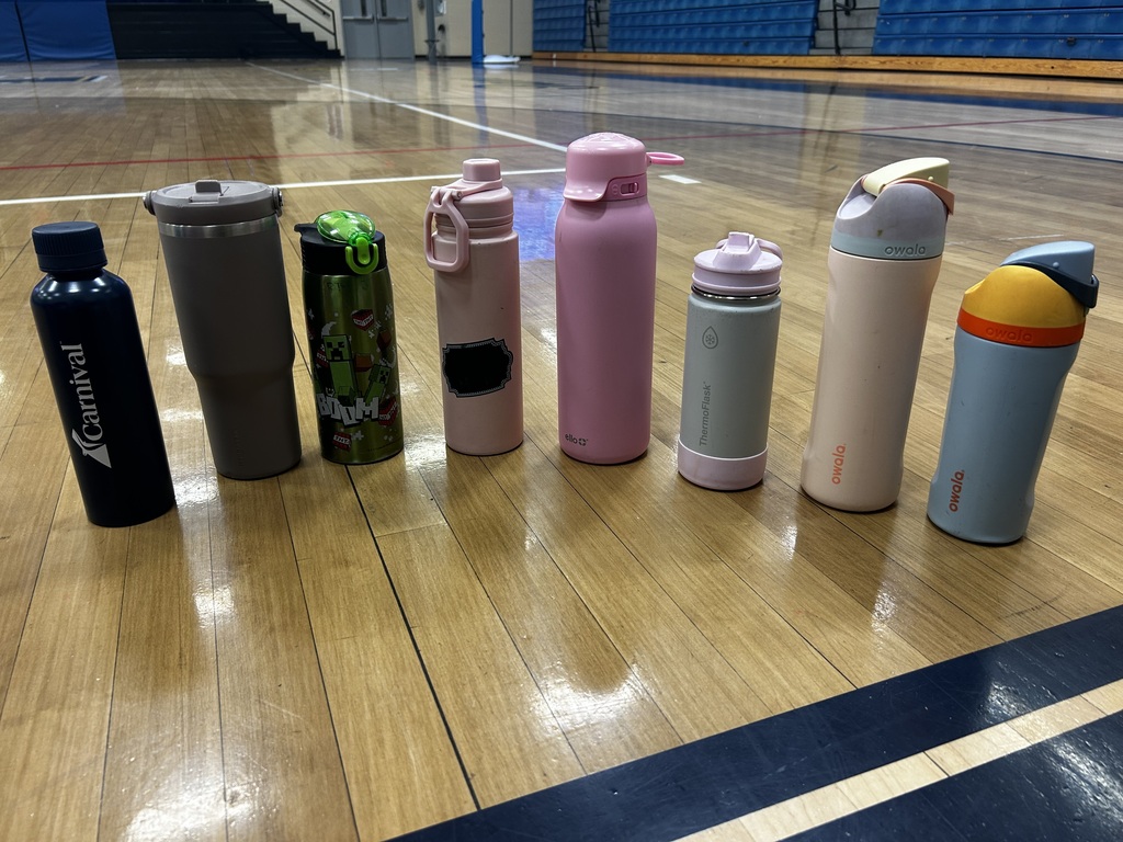 Eight stainless steel water bottles in various colors are lined up on a wooden court floor with blue and black lines.