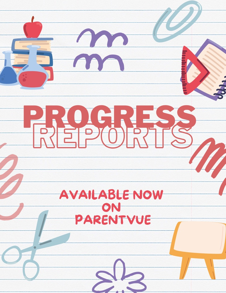 progress report flyer
