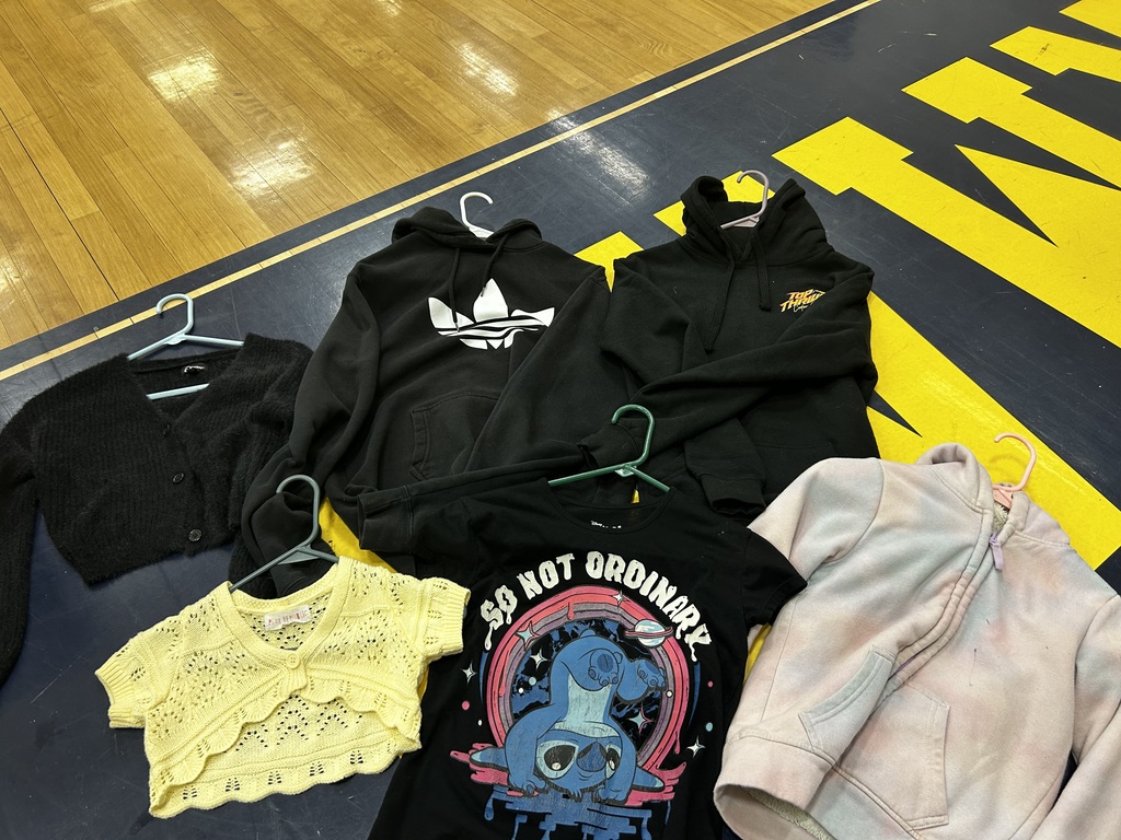Clothing items including black hoodies, a yellow shirt, and a pink jacket on hangers lie on a wooden floor.