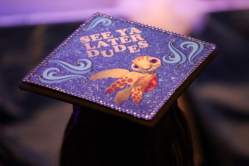 Graduation cap with sea turtle on top