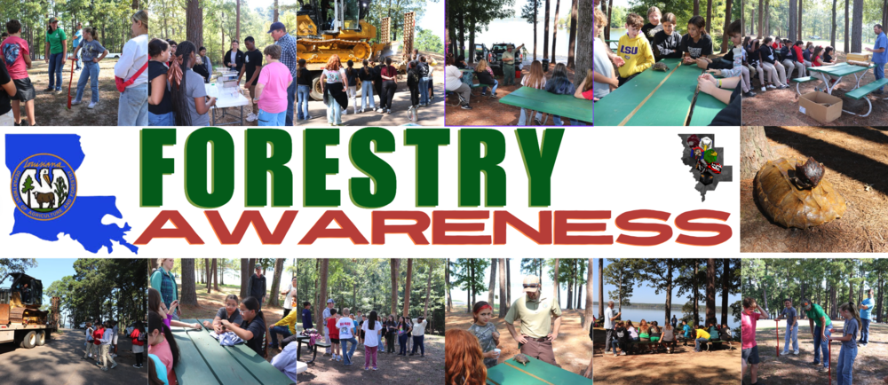 Forestry Awareness