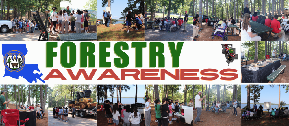 Forestry Awareness