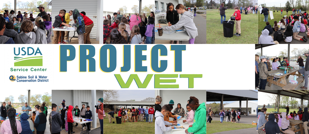 Project Wet