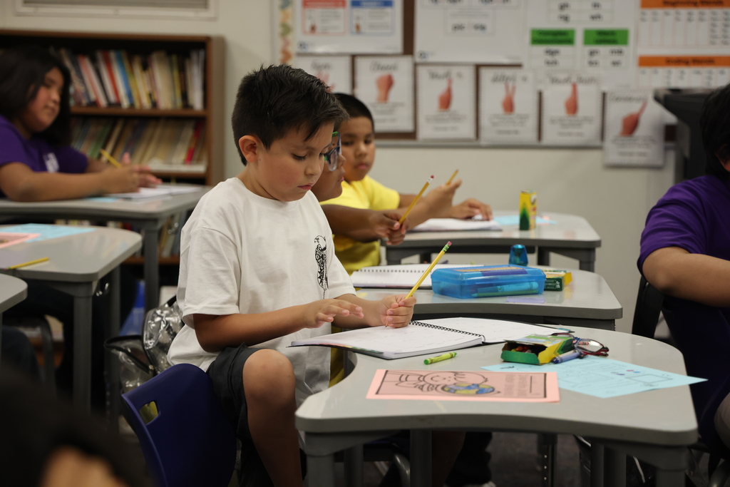 Student learning