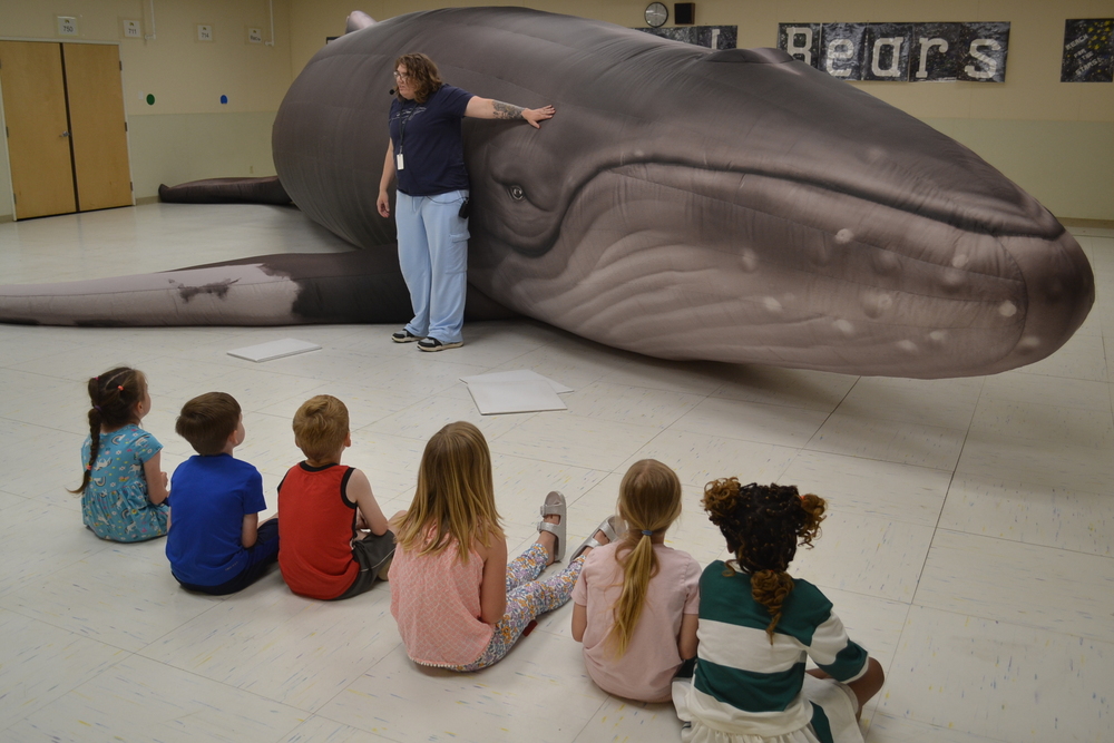 Whale
