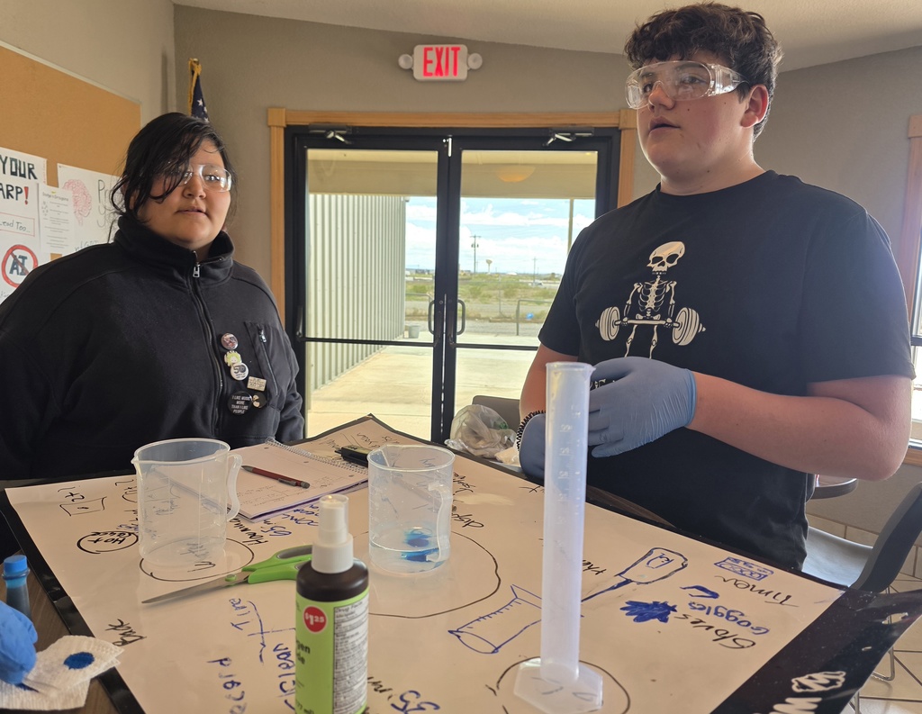 Students doing an experiment in lab class
