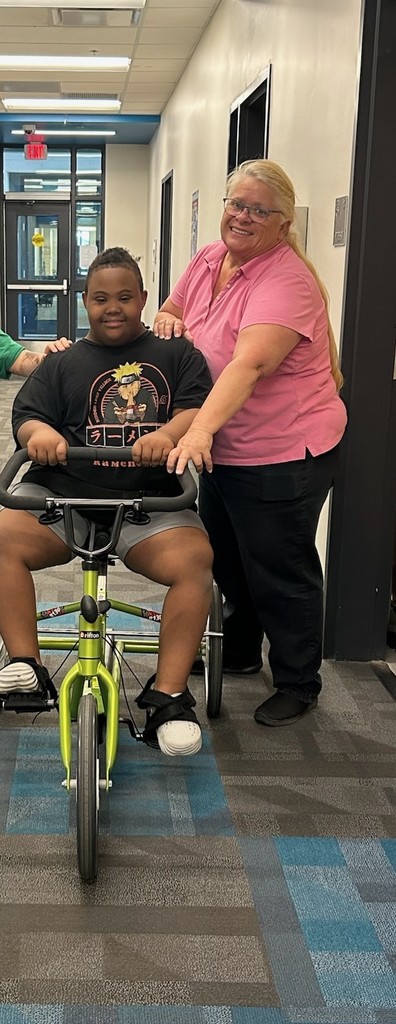 Physical Therapy in School