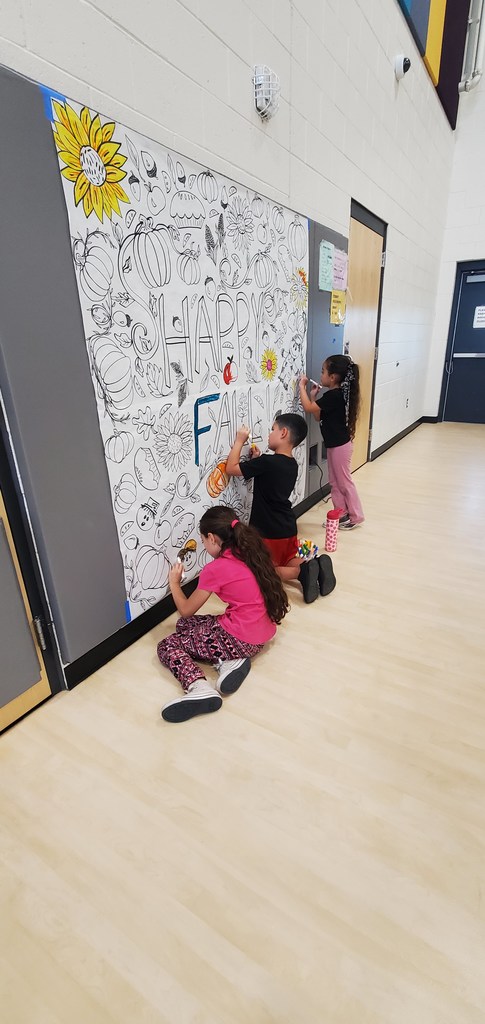 Art Showcase
