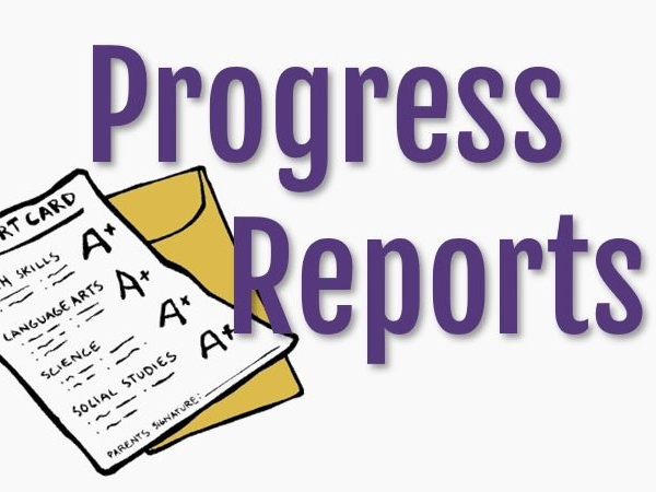 Progress Report