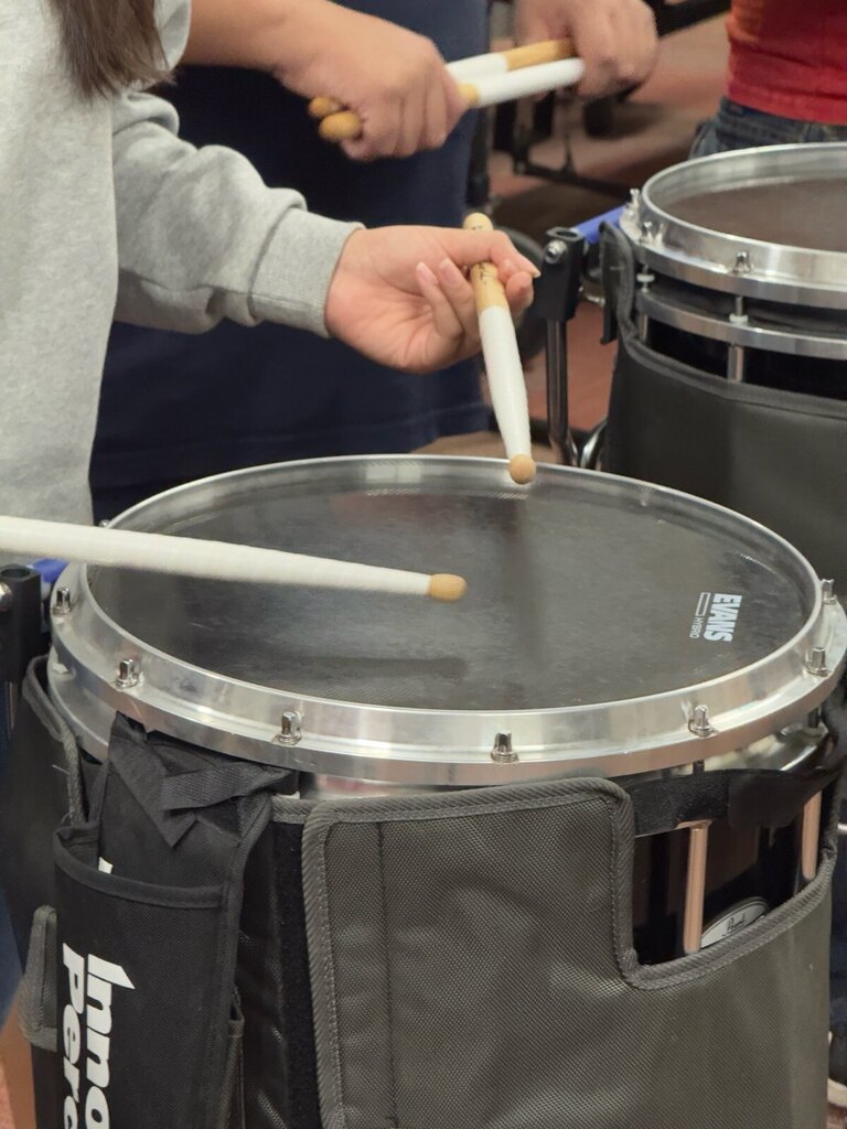 snare