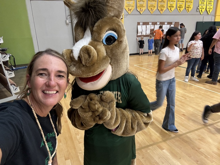 Meet the Teacher Night