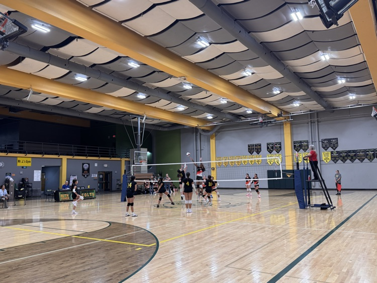 volleyball