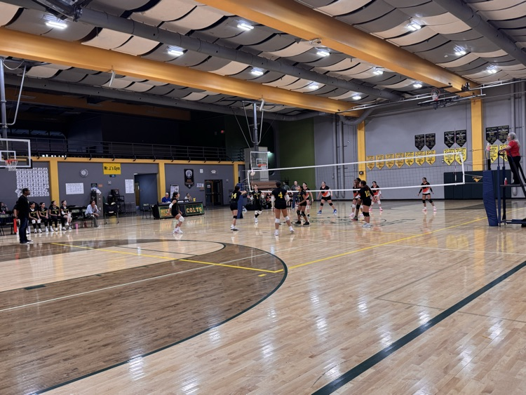 volleyball