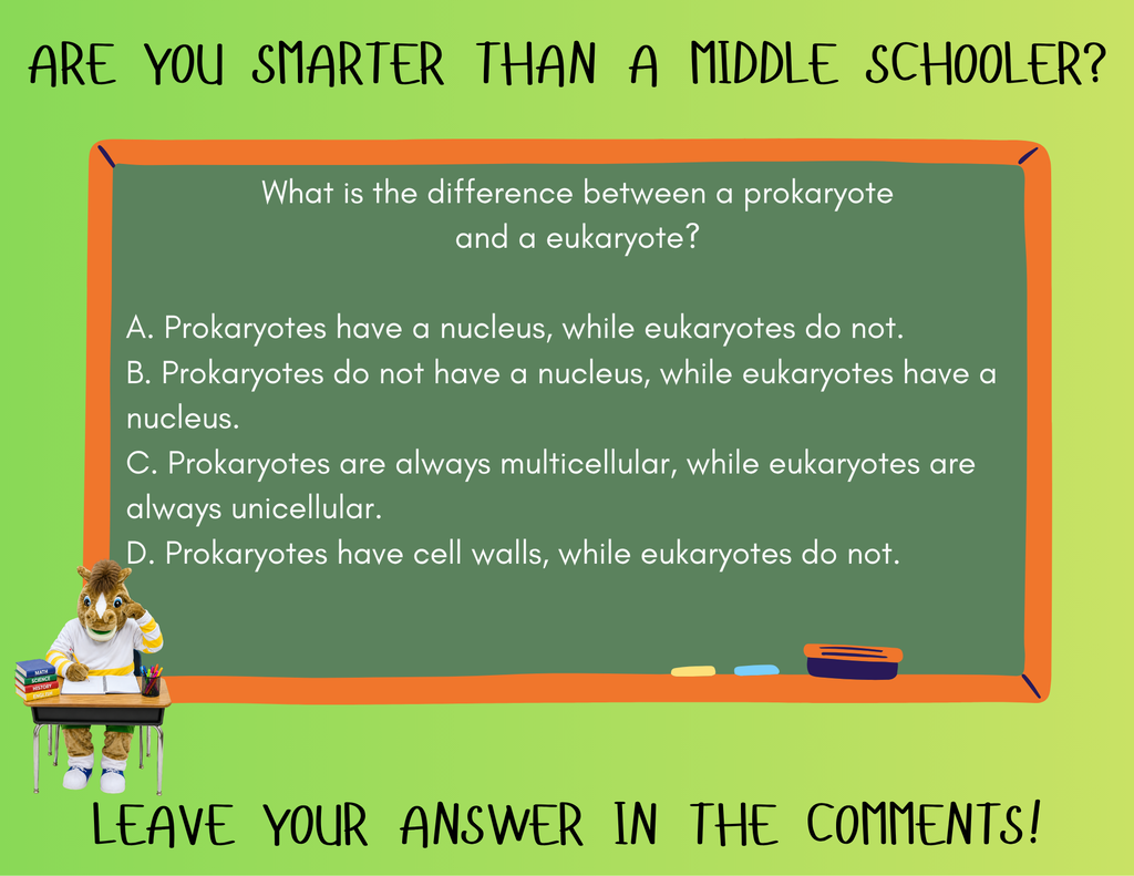 Are You Smarter Than A Middle Schooler