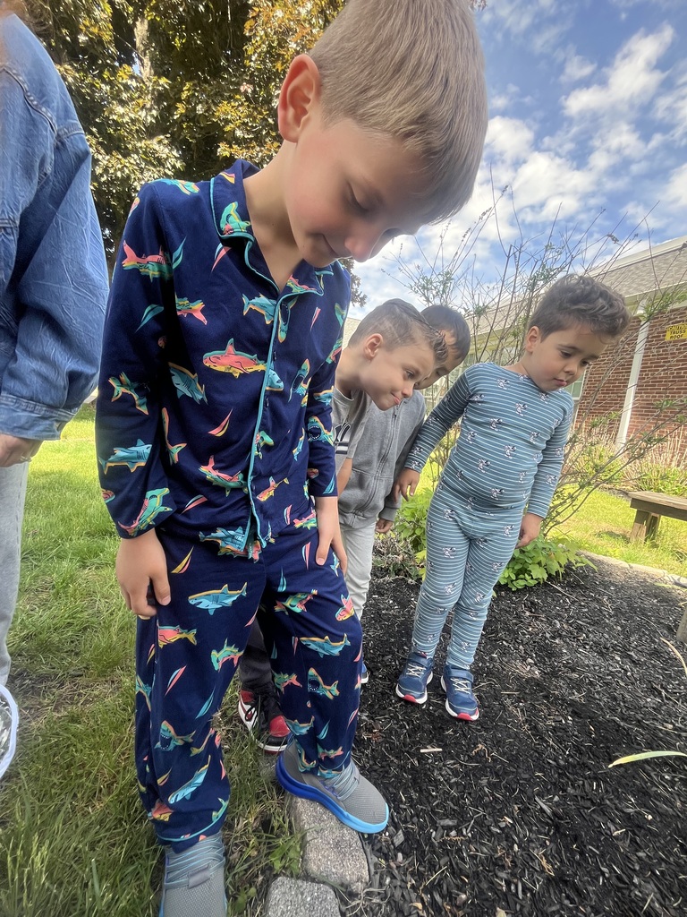 Pre-K Fun