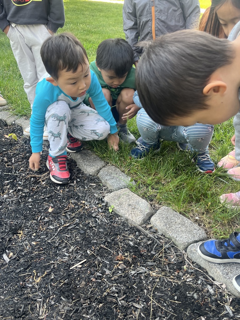 Pre-K Fun
