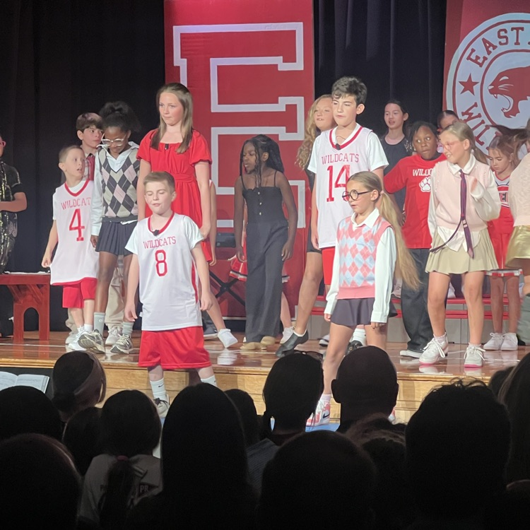 wildcats 