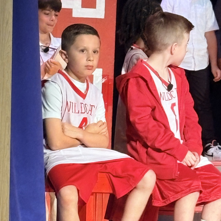 go Wildcats
