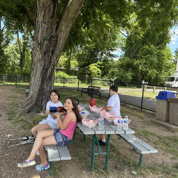 picnic celebration