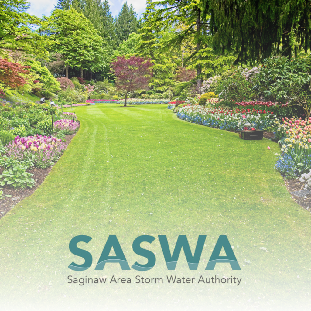 saswa