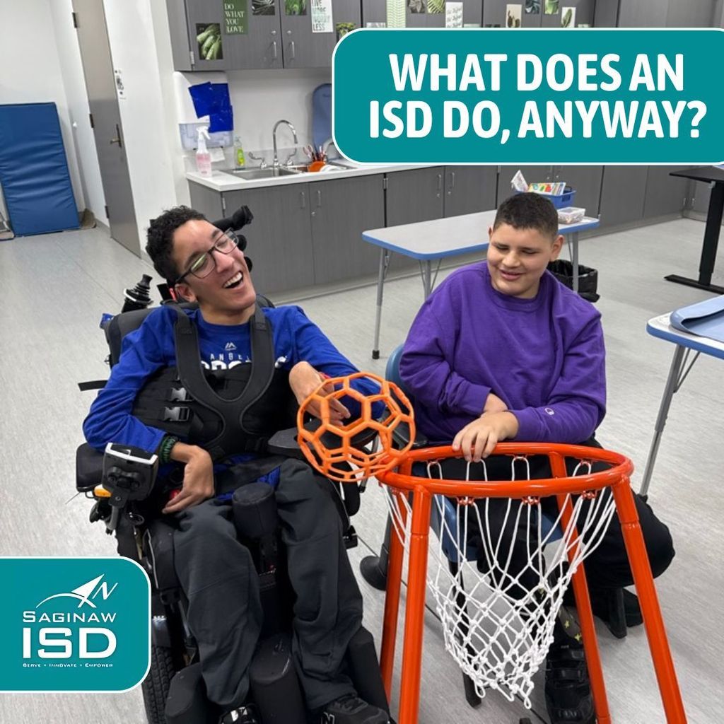 What does an ISD do, anyway? 