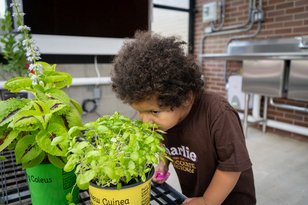 2025-26 Open House at Saginaw ISD Jerome. Student smelling basil. 