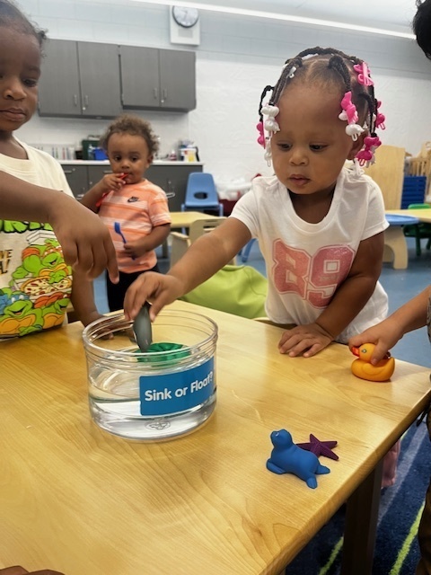 Students testing what sinks vs floats by placing objects into a container or water. 