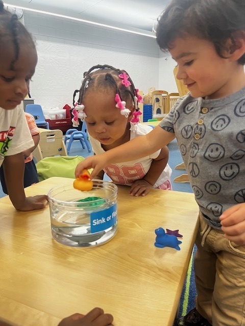 Students testing what sinks vs floats by placing objects into a container or water. 