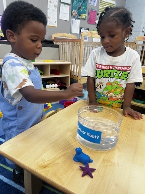 Students testing what sinks vs floats by placing objects into a container or water. 