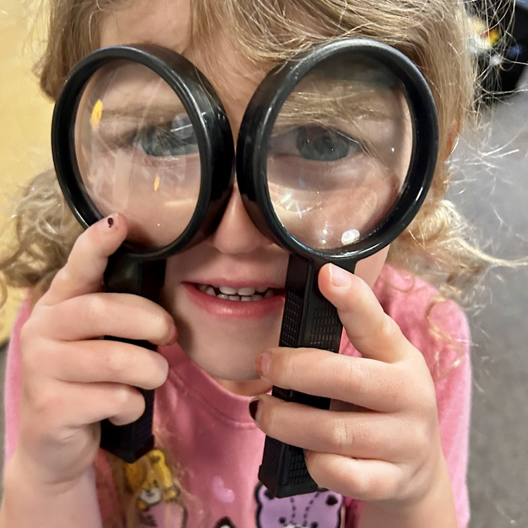 magnifying glasses 