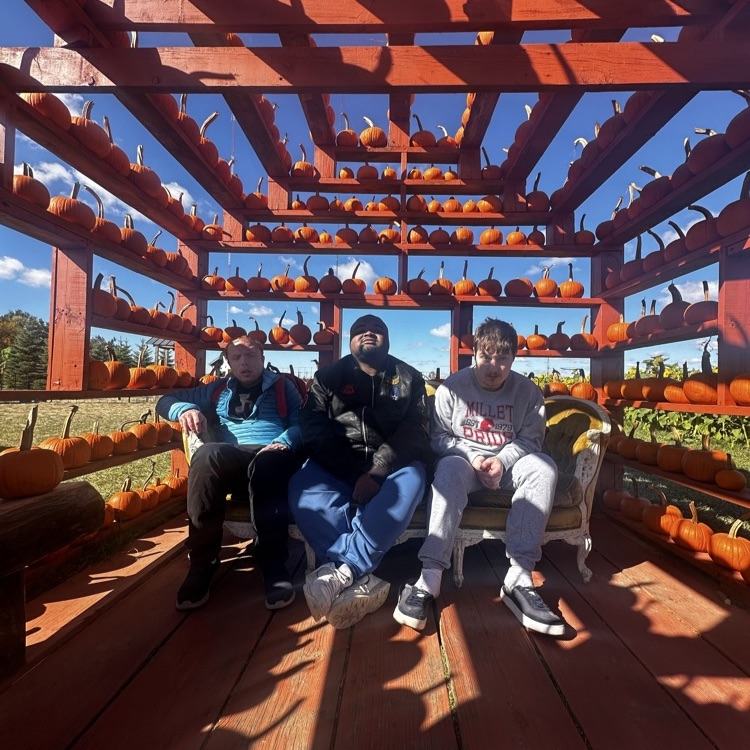 at the pumpkin farm.