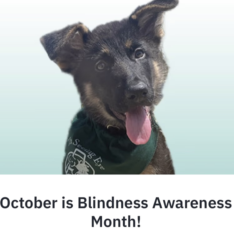 awareness month