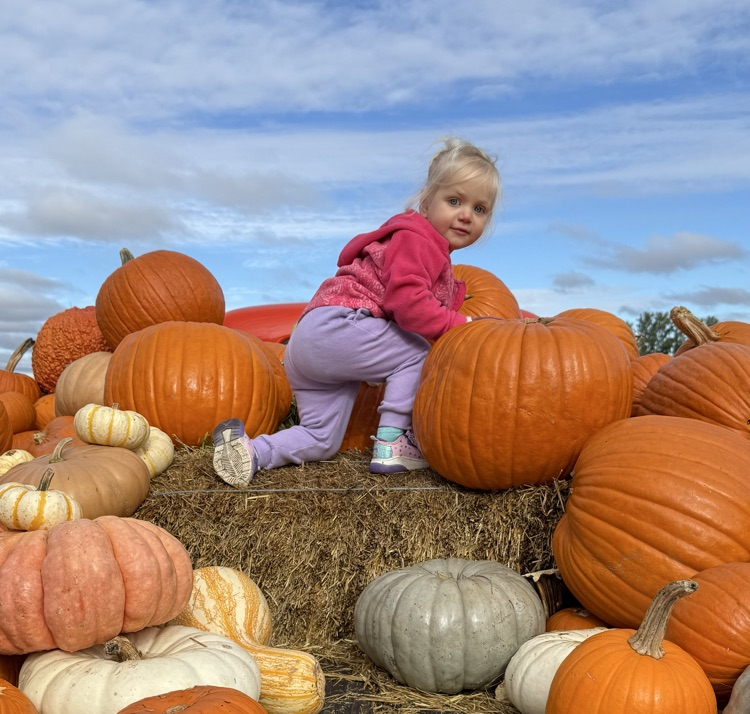 fun on the pumpkins