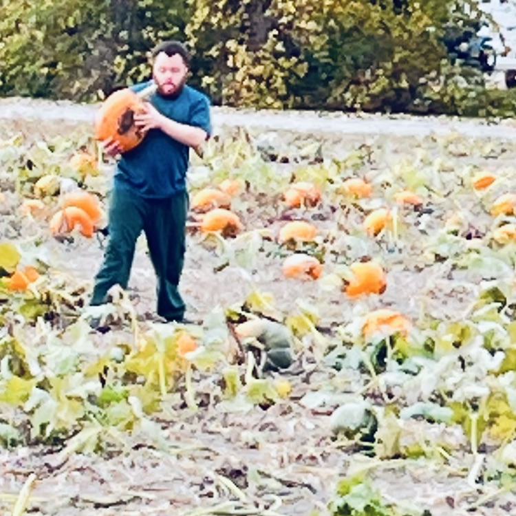 pumpkin