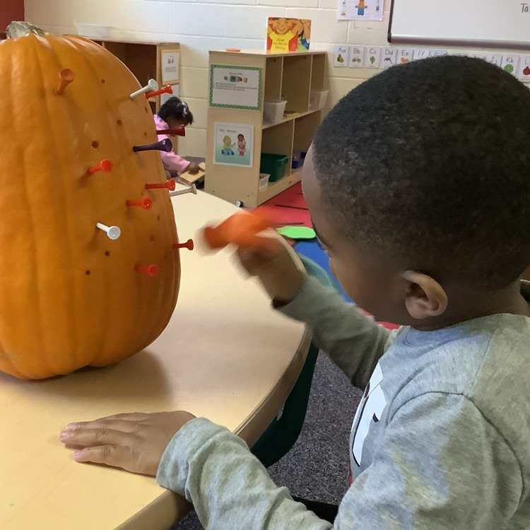 pumpkins