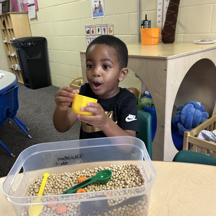 Ms Malarie & Ms Kelly’s Valley Head Start class enjoyed fall themed sensory bins during small group this week! 