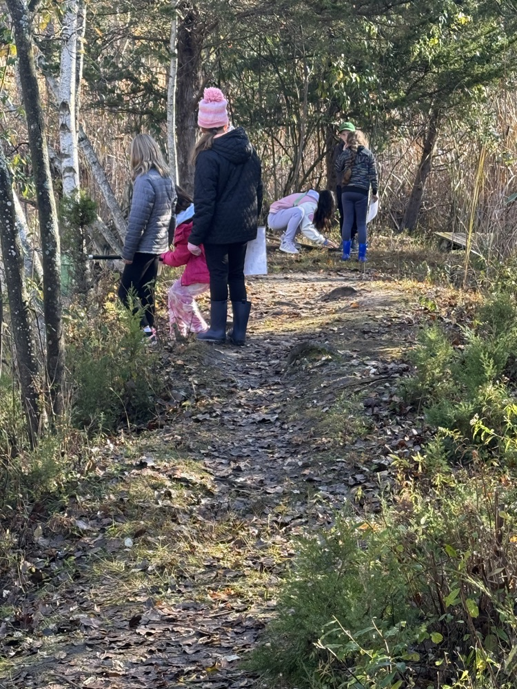 Students dipping nets into the pond