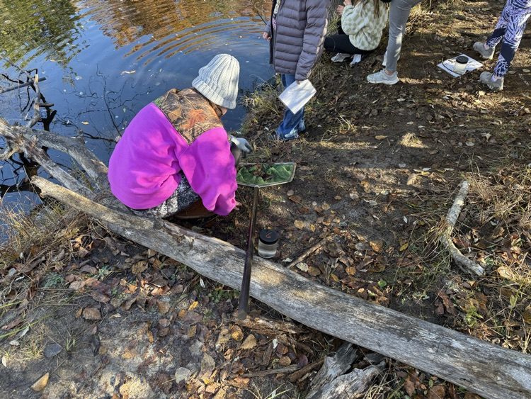 Students looking through their nets.