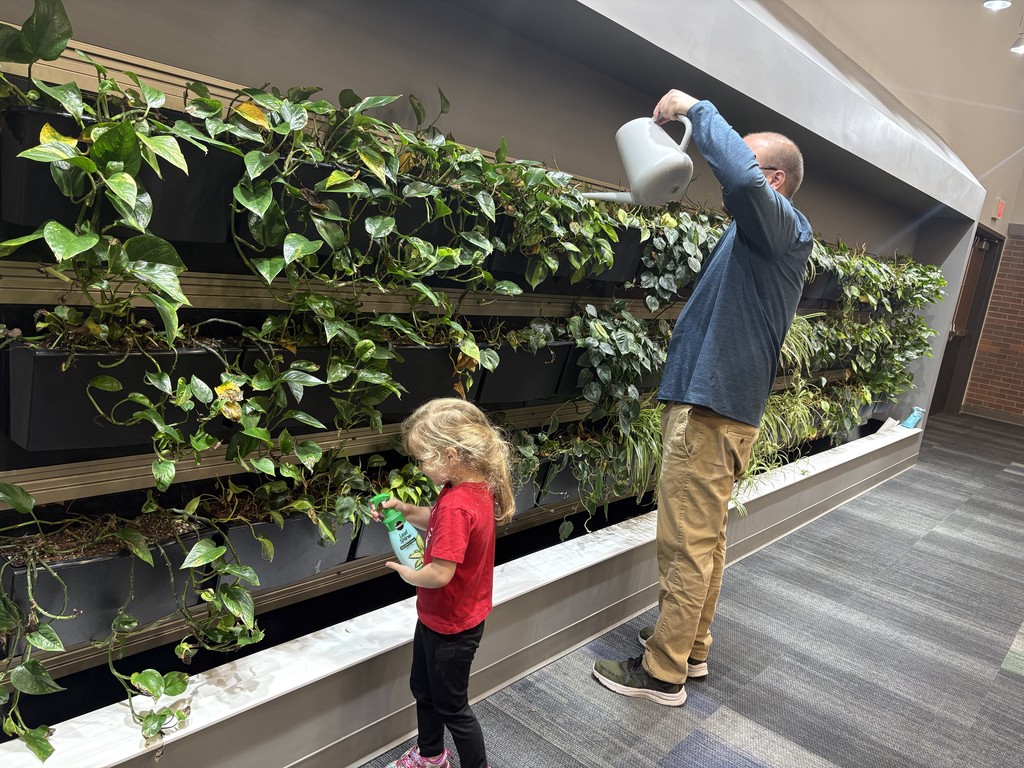 Student helping Principal water green wall.