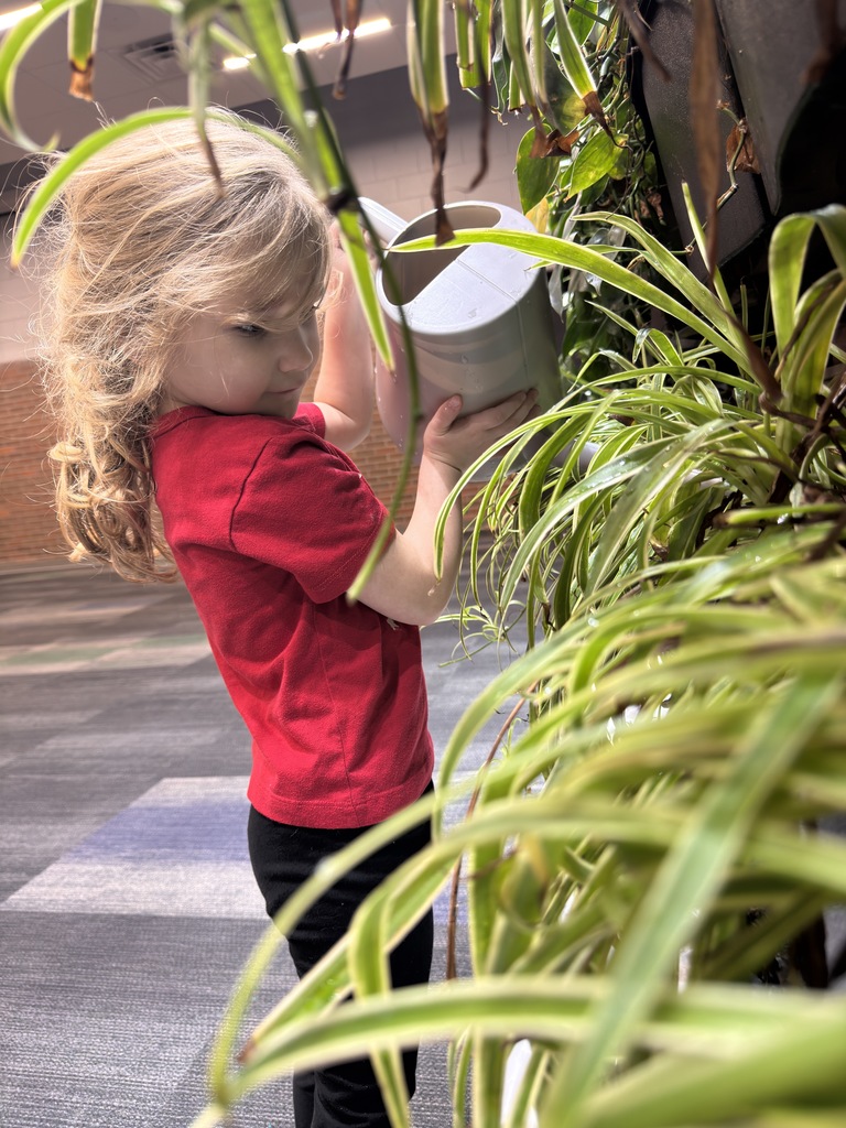 Student watering green wall after volunteering to help. 