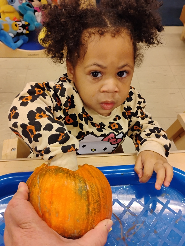 pumpkin exploration
