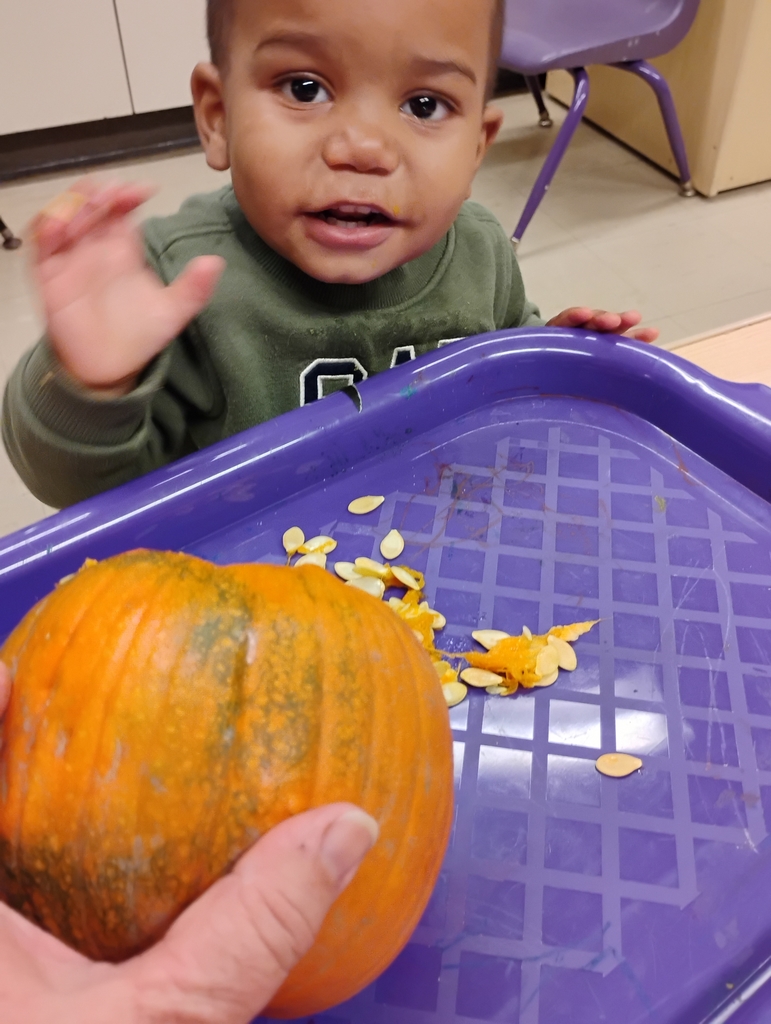pumpkin exploration