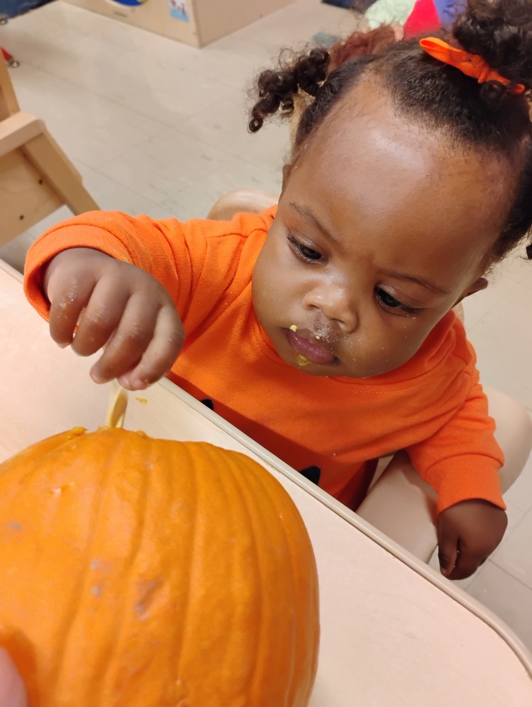 pumpkin exploration
