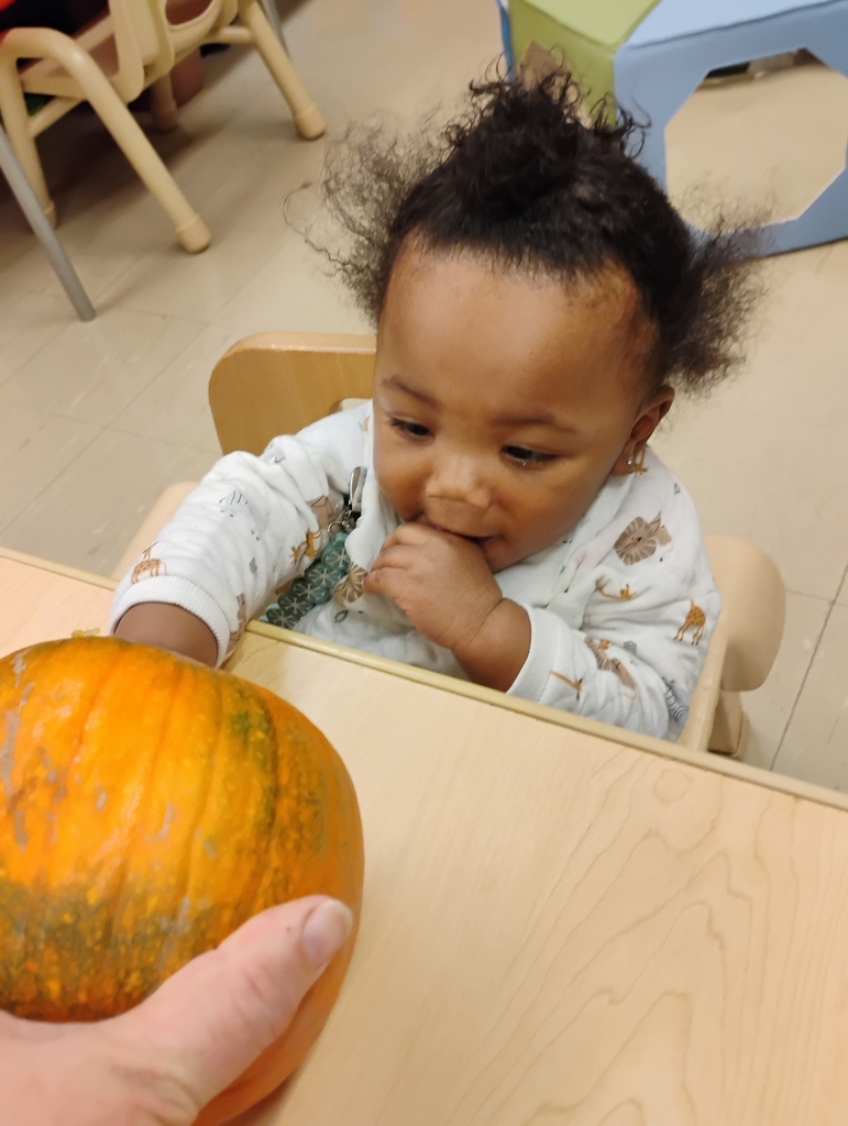 pumpkin exploration