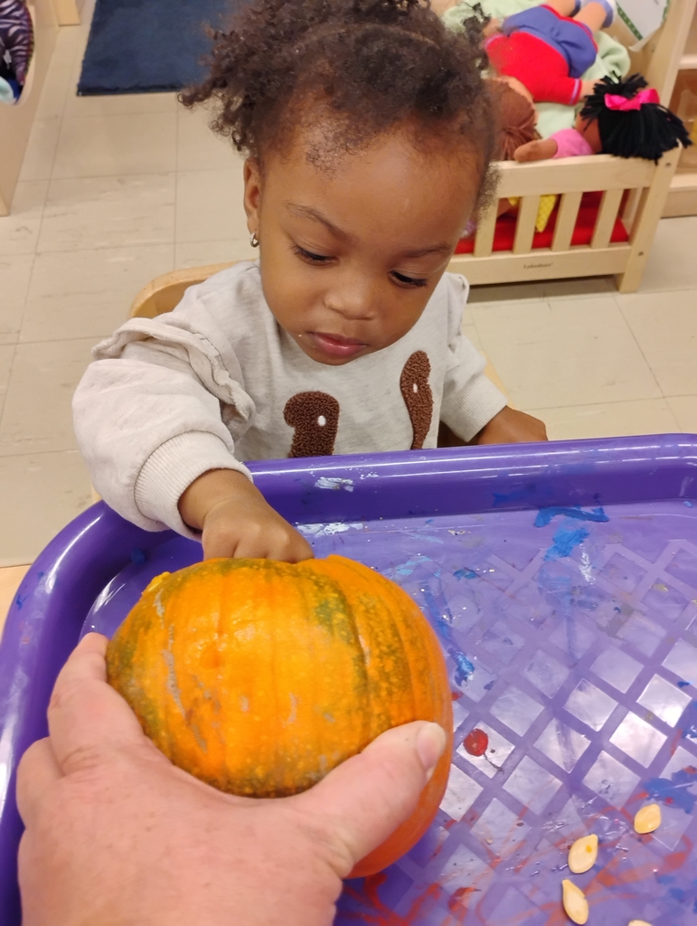 pumpkin exploration